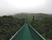 hanging_bridges