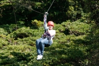 monteverde_canopy