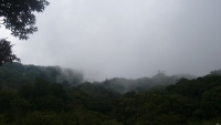 the_cloud_forest