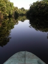 tortuguero