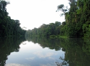 tortuguero_canales